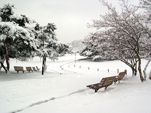 겨울공원
