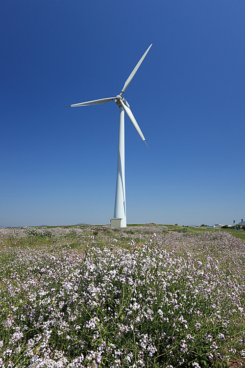 봄꽃과 풍력발전기