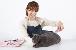 펫코노미 039