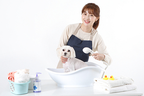 펫코노미 062