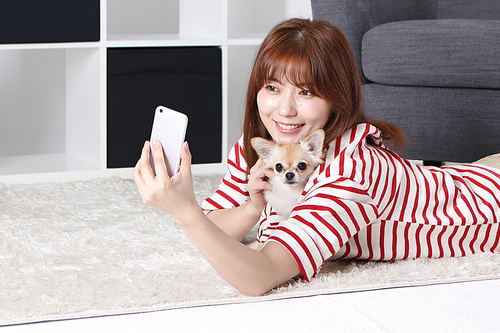 펫코노미 088