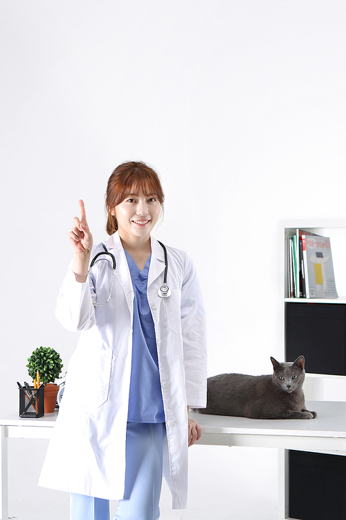 펫코노미191