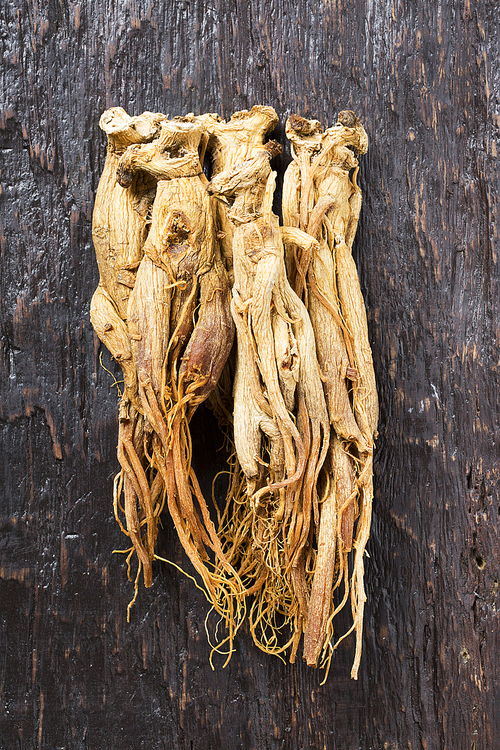 Red ginseng 027