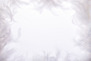 background&frame 198