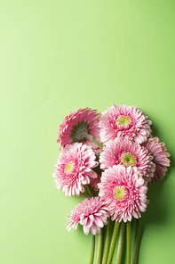 background&frame 251