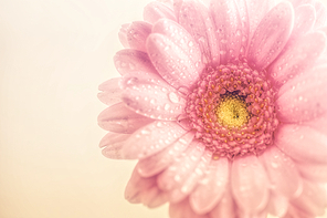 beautiful nature 010