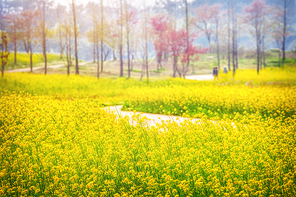 beautiful nature 044