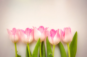 beautiful nature 070