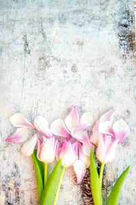 beautiful nature 074