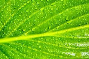 beautiful nature 076