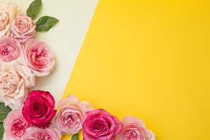Flower 236