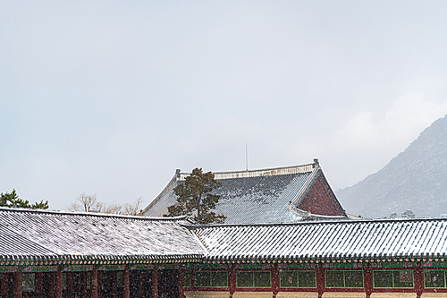 겨울고궁 051