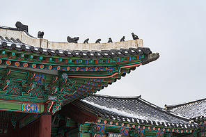겨울고궁 085