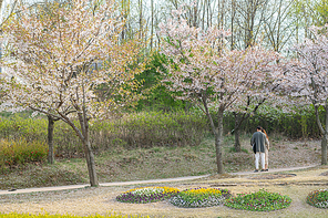 봄나들이 045