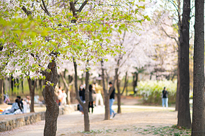 봄나들이 078