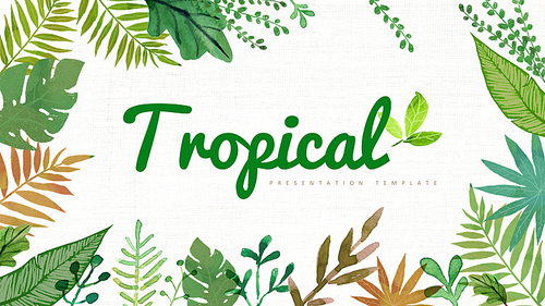 트로피컬 (tropical) 피피티 배경
