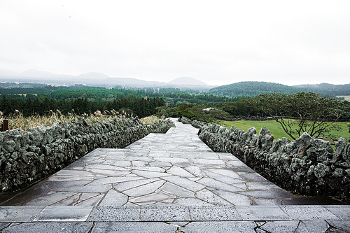 한국적이미지 171