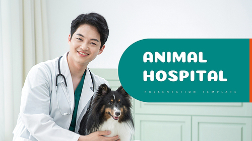 동물병원 PPT 템플릿 (Animal Hospital)
