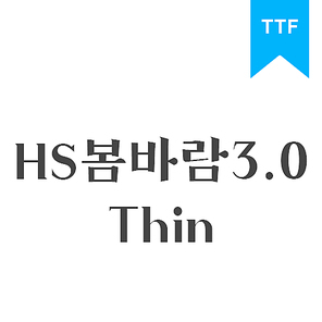 HS봄바람체 3.0 Thin	TTF