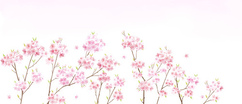 봄꽃풍경 010