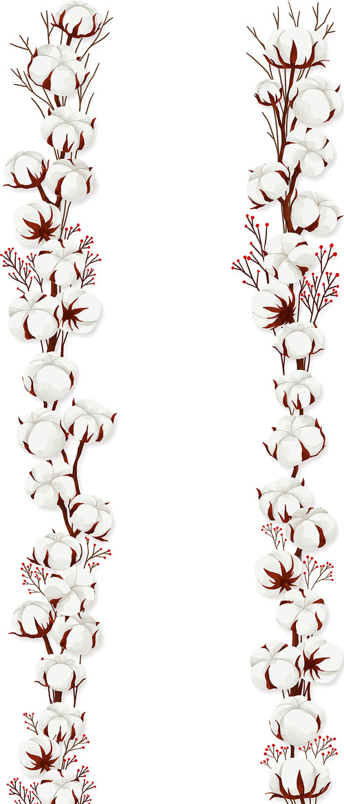 흰색 목화 꽃 기념일 프레임 오브젝트 일러스트