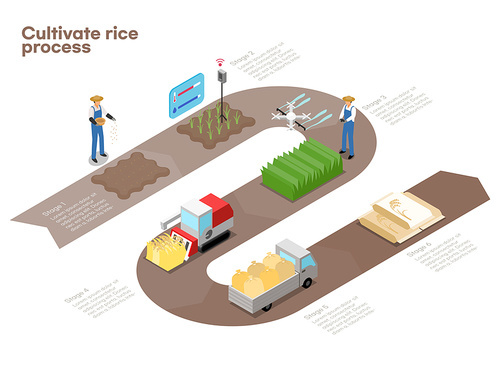 농부 스마트팜 작물 재배 관리 자동화 생산과정 소개하는 아이소메트릭 벡터 단계 과정
