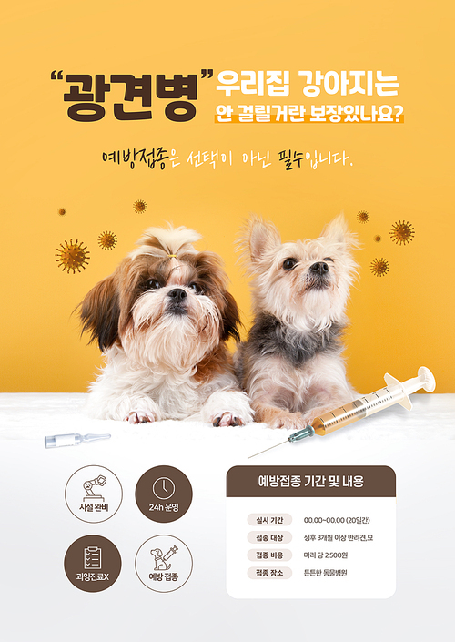 얌전히 앉아있는 강아지들 주위로 바이러스와 주사기가 있는 광견병 예방접종 동물병원 포스터