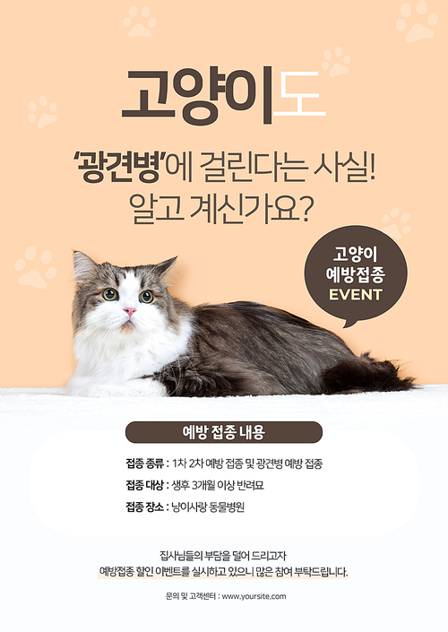 고양이가 얌전히 앉아있는 광견병 예방접종 동물병원 포스터