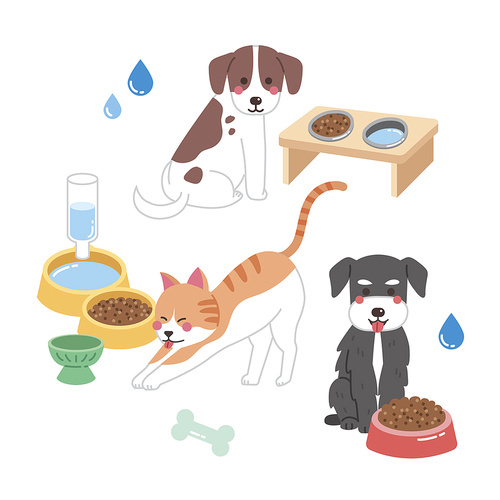 다양한 종류 개와 고양이 음식과 물 벡터 일러스트