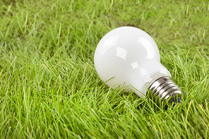 생활 속 에너지 - 푸른 잔디 위에 놓여진 불투명한 흰색  전구