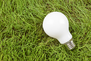 생활 속 에너지 - 푸른 잔디 위에 놓여진 불투명한 흰색  전구