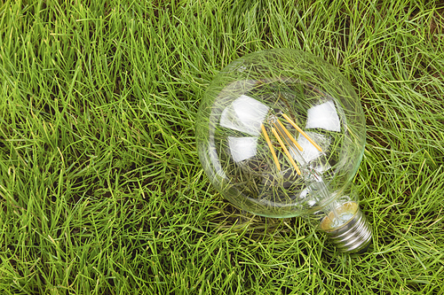생활 속 에너지 - 푸른 잔디 위에 놓여진 투명한 전구