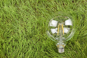 생활 속 에너지 - 푸른 잔디 위에 놓여진 투명한 전구