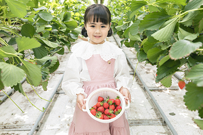 상큼 달콤 딸기농장 - 딸기 잎 사이에 서서 직접 딴 딸기를 보여주는 신나는 어린이