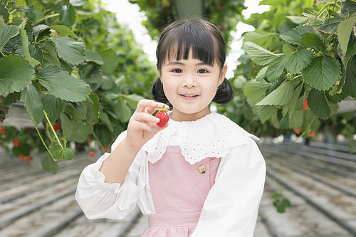 상큼 달콤 딸기농장 - 딸기 농장에서 잘 익은 딸기를 들고 미소짓는 즐거운 어린이