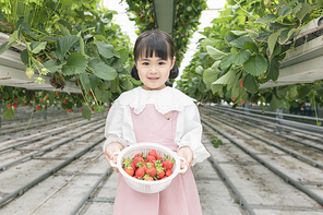 상큼 달콤 딸기농장 - 딸기 잎 사이에 서서 딸기 바구니를 보여주는 신난 어린이