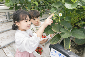 상큼 달콤 딸기농장 - 딸기 꽃을 손가락으로 가리켜보는 즐거운 어린이들