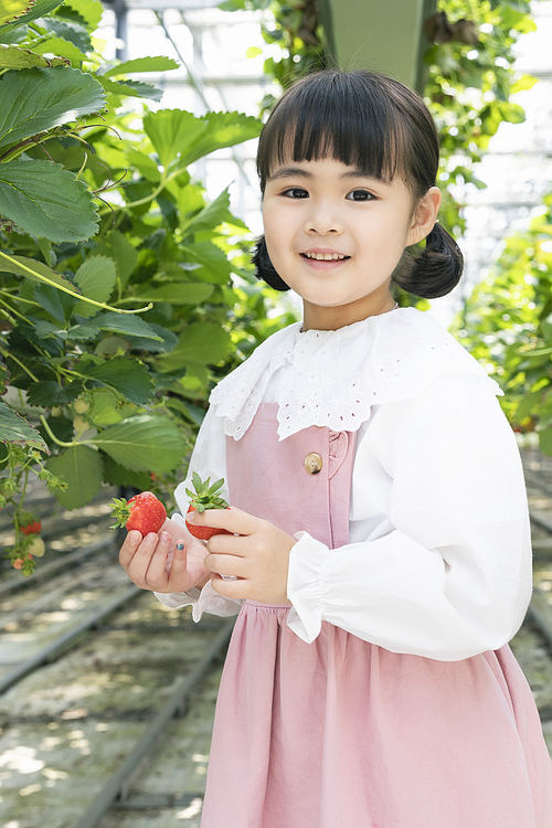 상큼 달콤 딸기농장 - 딸기 농장에서 잘 익은 딸기를 두 손에 들고 미소짓는 귀여운 어린이