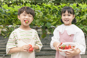 상큼 달콤 딸기농장 - 딸기 농장에서 잘 익은 딸기를 들고 귀엽게 포즈잡은 신난 어린이들