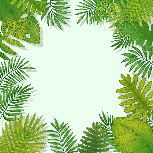 열대 지방의 식물 시리즈 일러스트 이미지