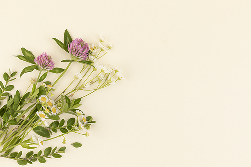 꽃과 식물 - 대각선으로 나열된 들꽃과 풀 프레임