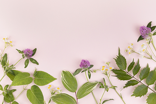 꽃과 식물 - 보라색,흰색 들꽃과 풀 프레임