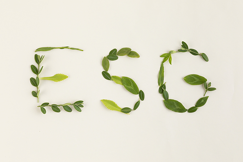 꽃과 식물 - 나뭇잎으로 적힌 ESG 글씨