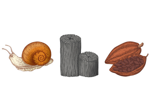달팽이, 숯, 카카오 피부 관련 천연재료 이미지 시리즈 일러스트