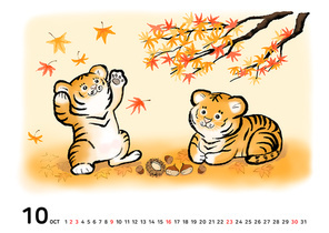 가을철 단풍잎을 보여 장난치고 있는 아기 호랑이 두마리 이미지 일러스트