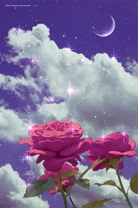 핑크 장미와 민트 하늘