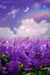 보라빛 라벤더 밭과 하늘