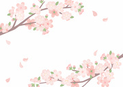 꽃 배경_벚꽃나무와 벚꽃잎 일러스트