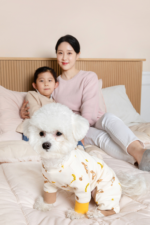 반려견_침대에 앉아있는 모녀와 강아지 클로즈업 사진