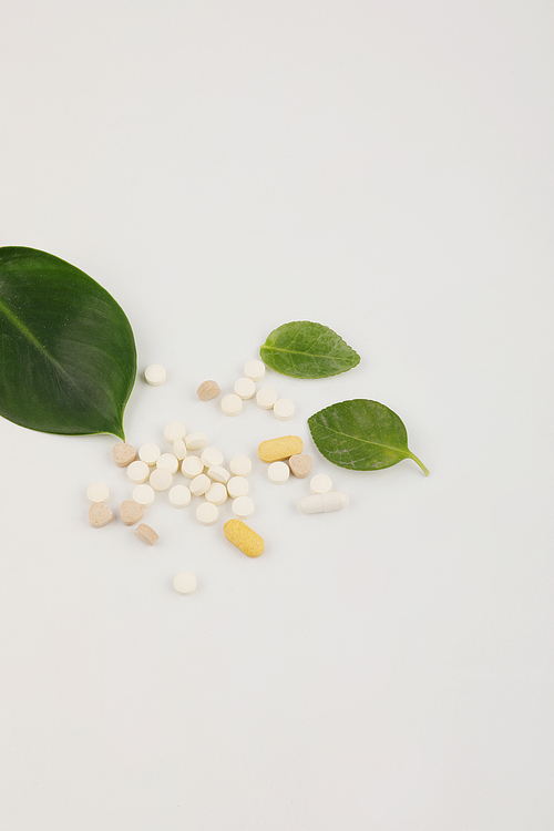 건강보조식품_식물과 흩어져있는 알약